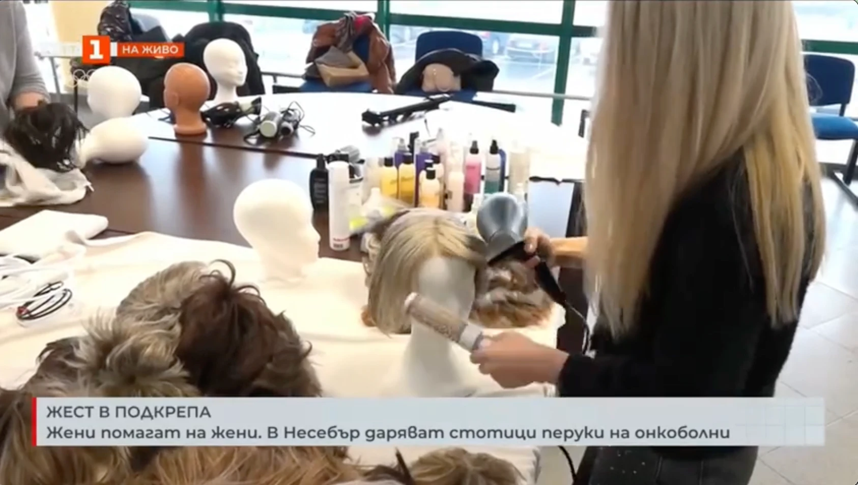 БНТ: Репортаж от акцията „ДобраПерука”